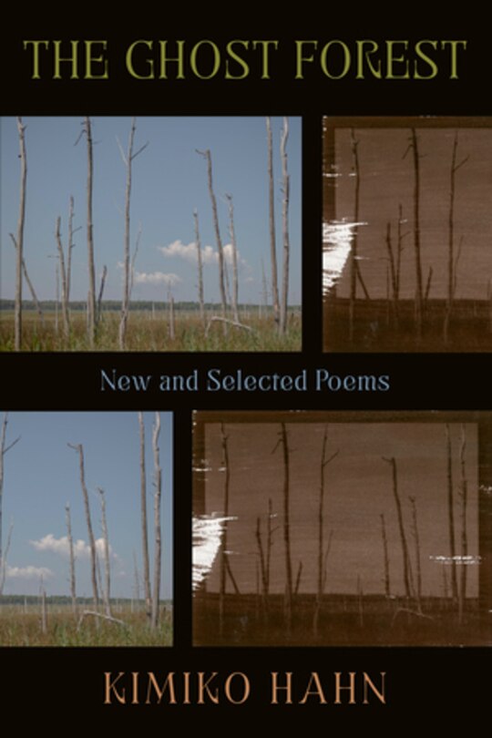 Couverture_The Ghost Forest