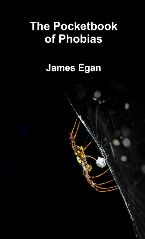 Front cover_The Pocket Book of Phobias