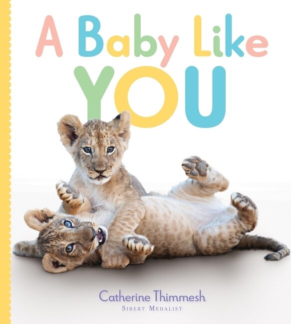 Front cover_A Baby Like You