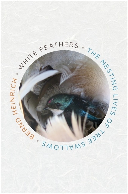 White Feathers: The Nesting Lives Of Tree Swallows