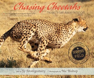 Couverture_Chasing Cheetahs