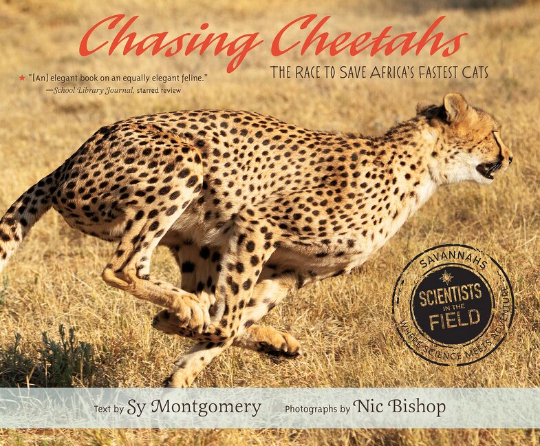Couverture_Chasing Cheetahs