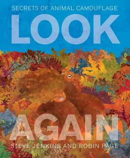 Front cover_Look Again