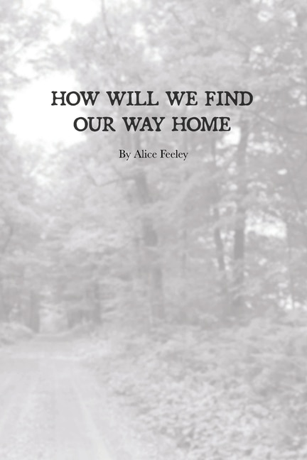 Couverture_How Will We Find Our Way Home