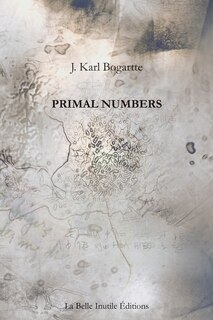Front cover_Primal Numbers