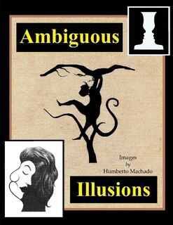 Front cover_Ambiguous Illusions