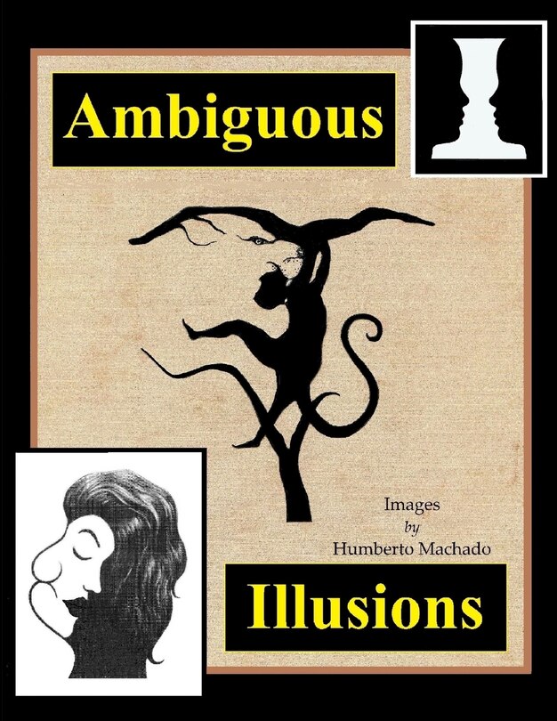 Front cover_Ambiguous Illusions