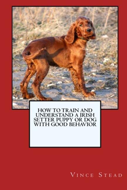 Couverture_How to Train and Raise a Irish Setter Puppy or Dog with Good Behavior