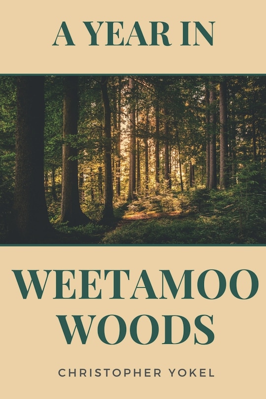 Front cover_A Year in Weetamoo Woods