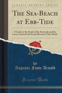 Couverture_The Sea-Beach at Ebb-Tide