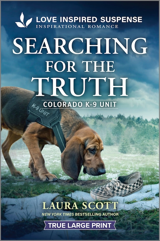 Couverture_Searching for the Truth