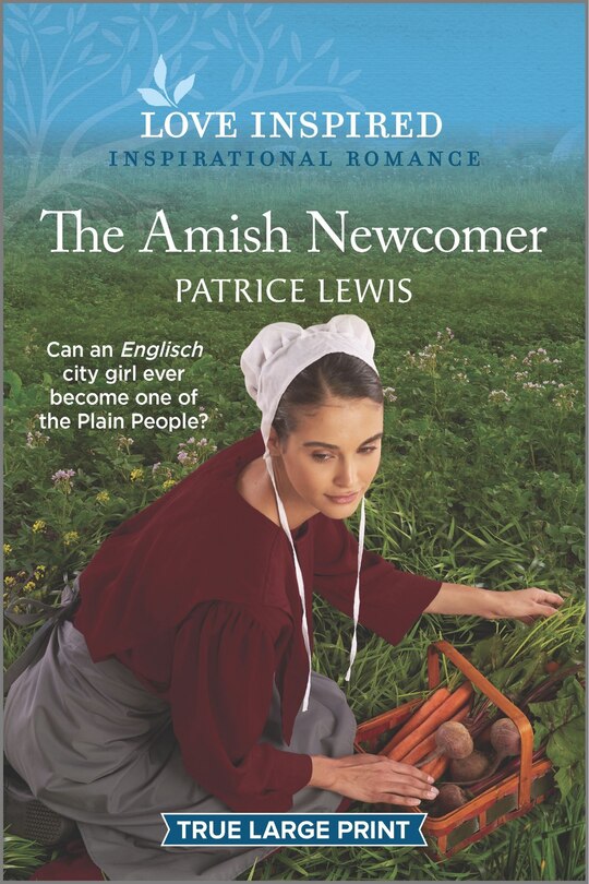 Couverture_The Amish Newcomer