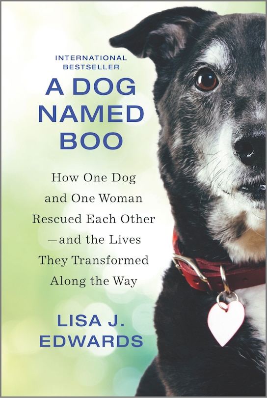 Front cover_A Dog Named Boo