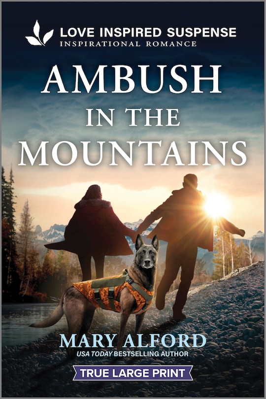 Front cover_Ambush in the Mountains