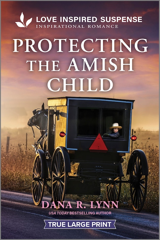 Front cover_Protecting the Amish Child