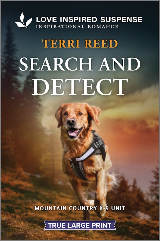 Couverture_Search and Detect