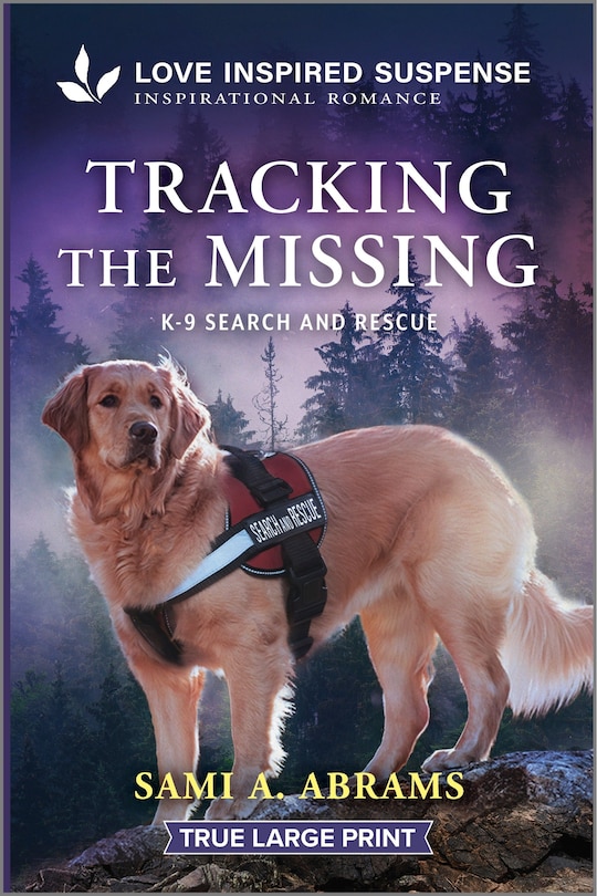 Front cover_Tracking the Missing