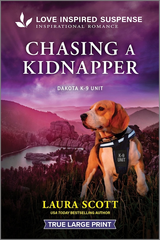 Couverture_Chasing a Kidnapper