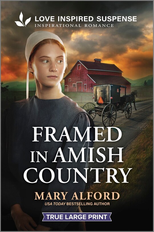 Couverture_Framed in Amish Country
