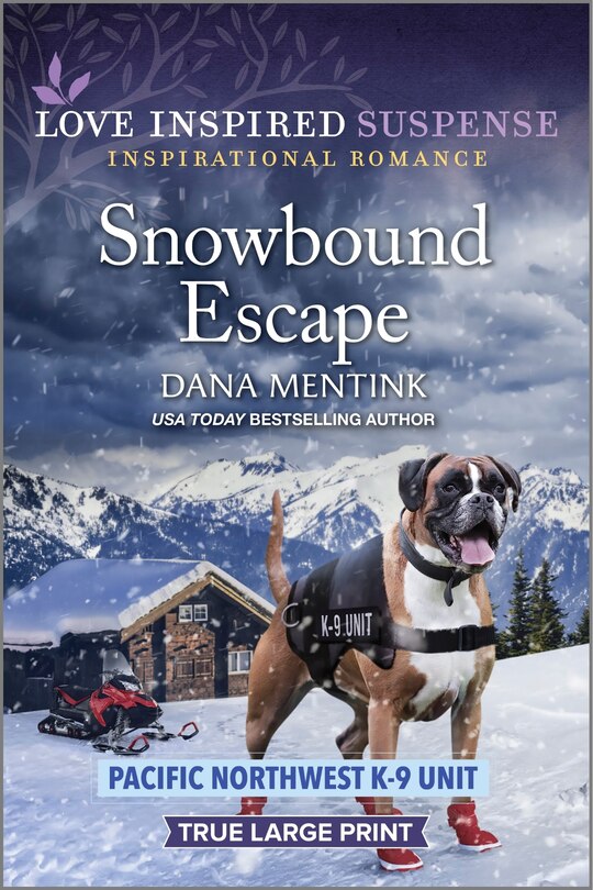Front cover_Snowbound Escape