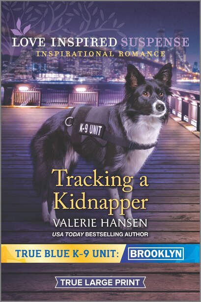 Tracking A Kidnapper by Valerie Hansen