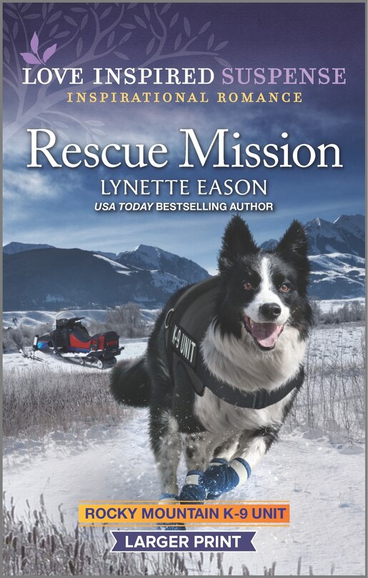 Couverture_Rescue Mission