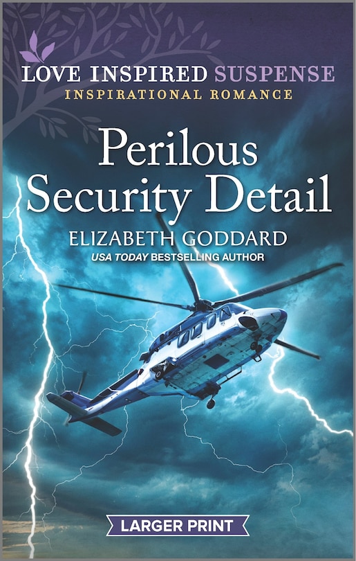 Front cover_Perilous Security Detail