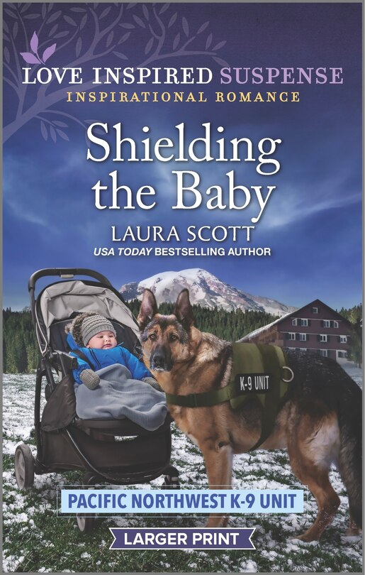 Front cover_Shielding the Baby