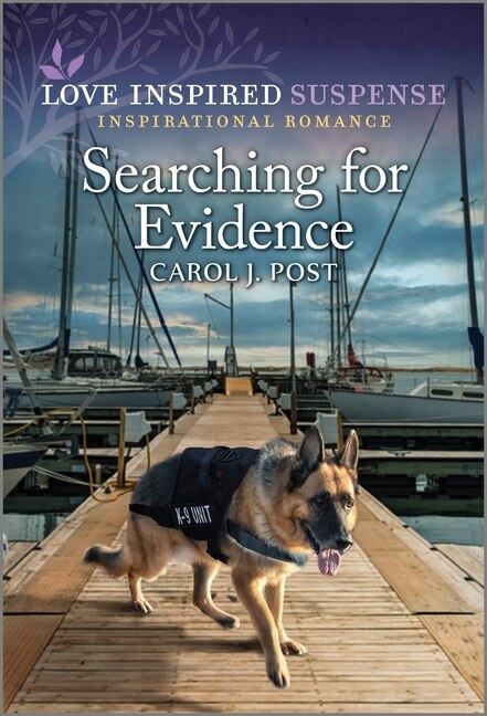 Couverture_Searching for Evidence