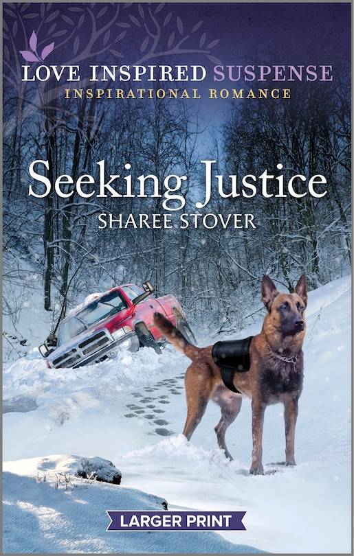 Front cover_Seeking Justice