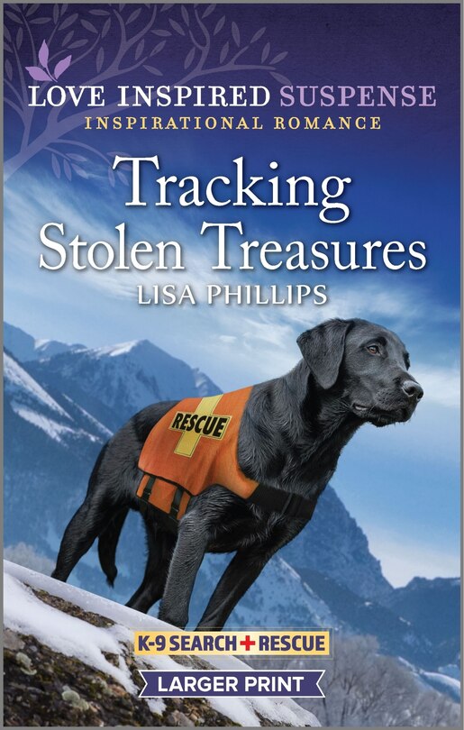 Front cover_Tracking Stolen Treasures