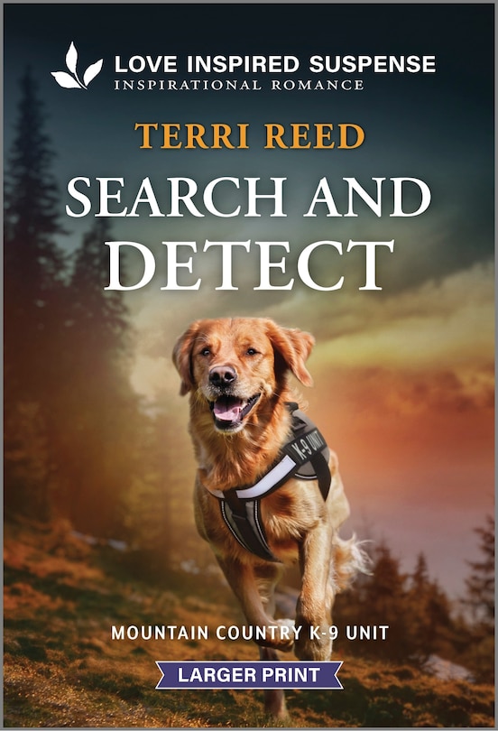 Couverture_Search and Detect