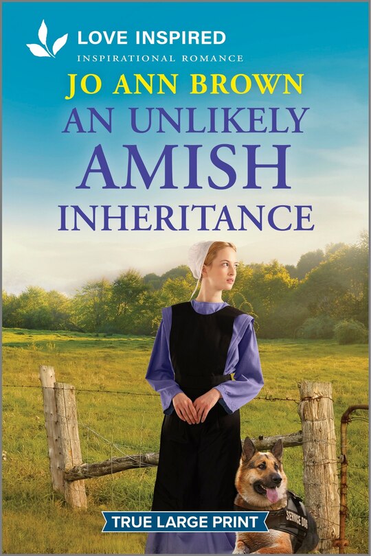 Couverture_An Unlikely Amish Inheritance