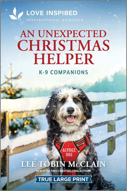 Couverture_An Unexpected Christmas Helper