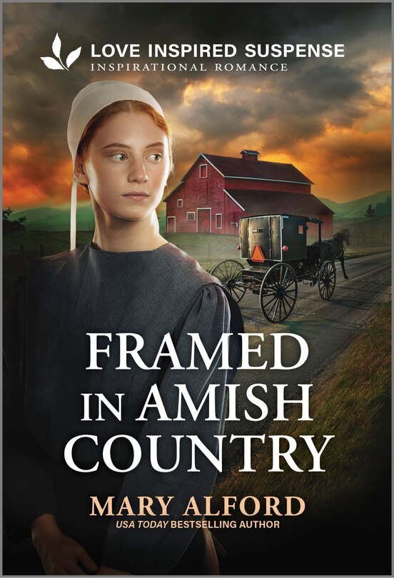 Front cover_Framed in Amish Country