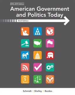 Front cover_American Government and Politics Today, Brief