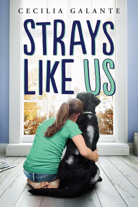 Couverture_The Strays Like Us