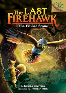 Couverture_The Ember Stone: A Branches Book (The Last Firehawk #1) (Library Edition)