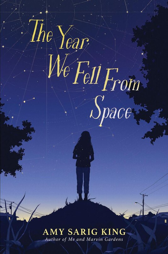Front cover_The Year We Fell From Space
