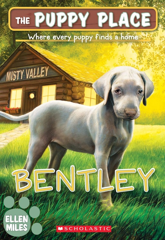 Front cover_Bentley (The Puppy Place #53)