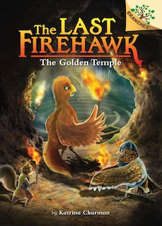 Couverture_The Secret Maze: A Branches Book (The Last Firehawk #10) (Library Edition)