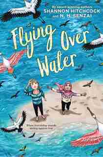 Flying Over Water by N. H. Senzai