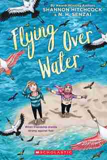Flying Over Water by N. H. Senzai