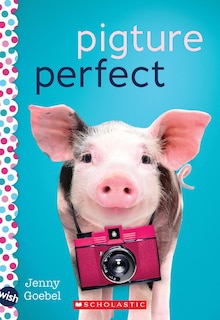 Front cover_Pigture Perfect: A Wish Novel