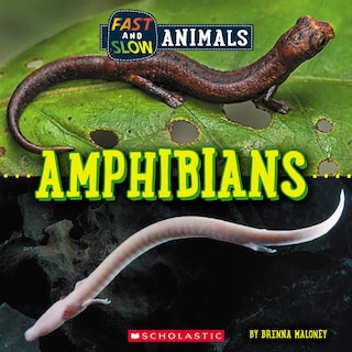 Front cover_Amphibians (Wild World: Fast and Slow Animals)