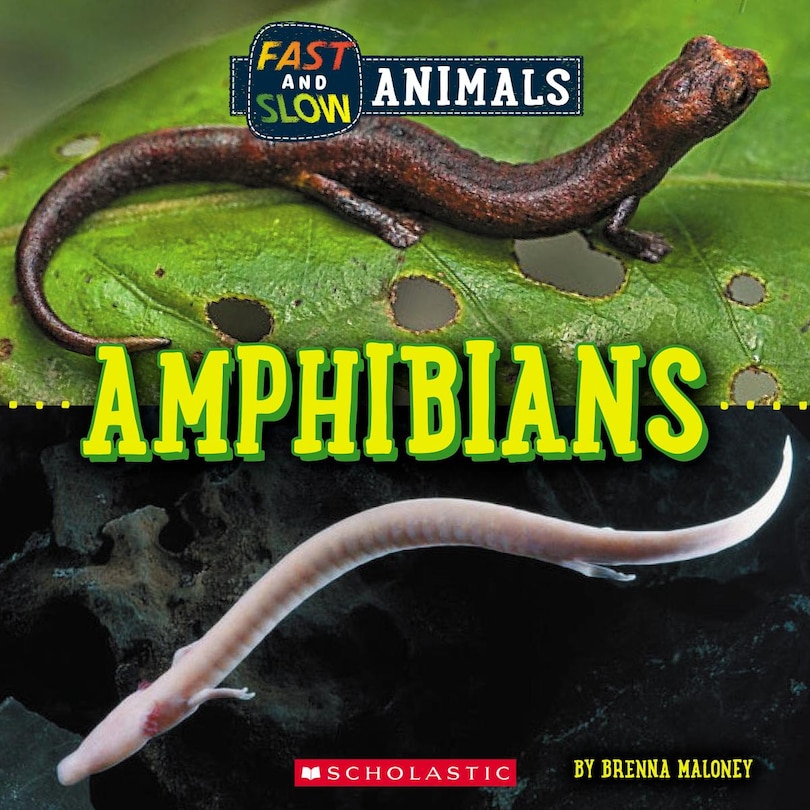 Front cover_Amphibians (Wild World: Fast and Slow Animals)