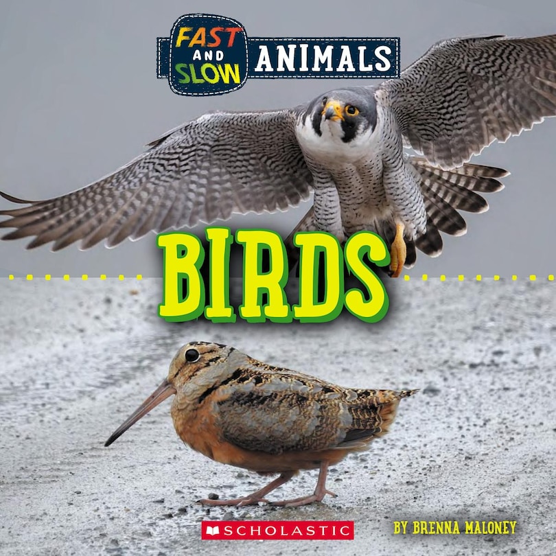 Couverture_Birds (Wild World: Fast and Slow Animals)