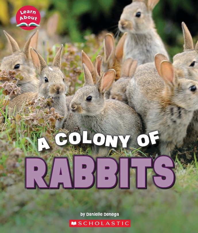 Couverture_A Colony of Rabbits (Learn About: Animals)