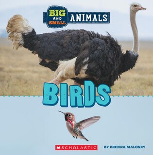Front cover_Birds (Wild World: Big and Small Animals)