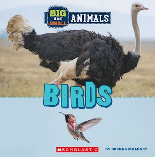 Front cover_Birds (Wild World: Big and Small Animals)